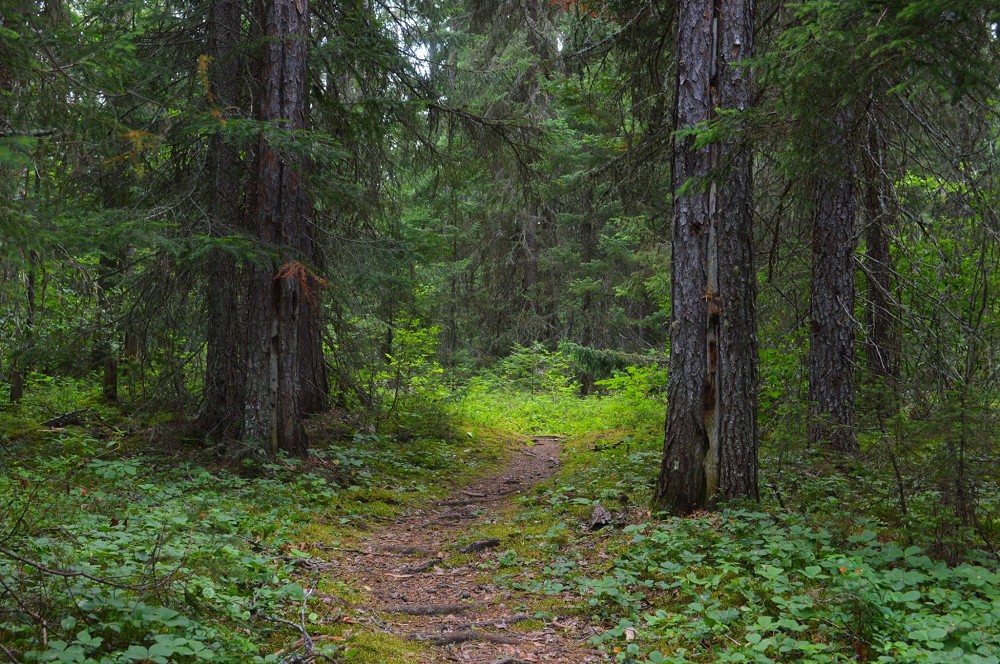 white-lake-trails-2