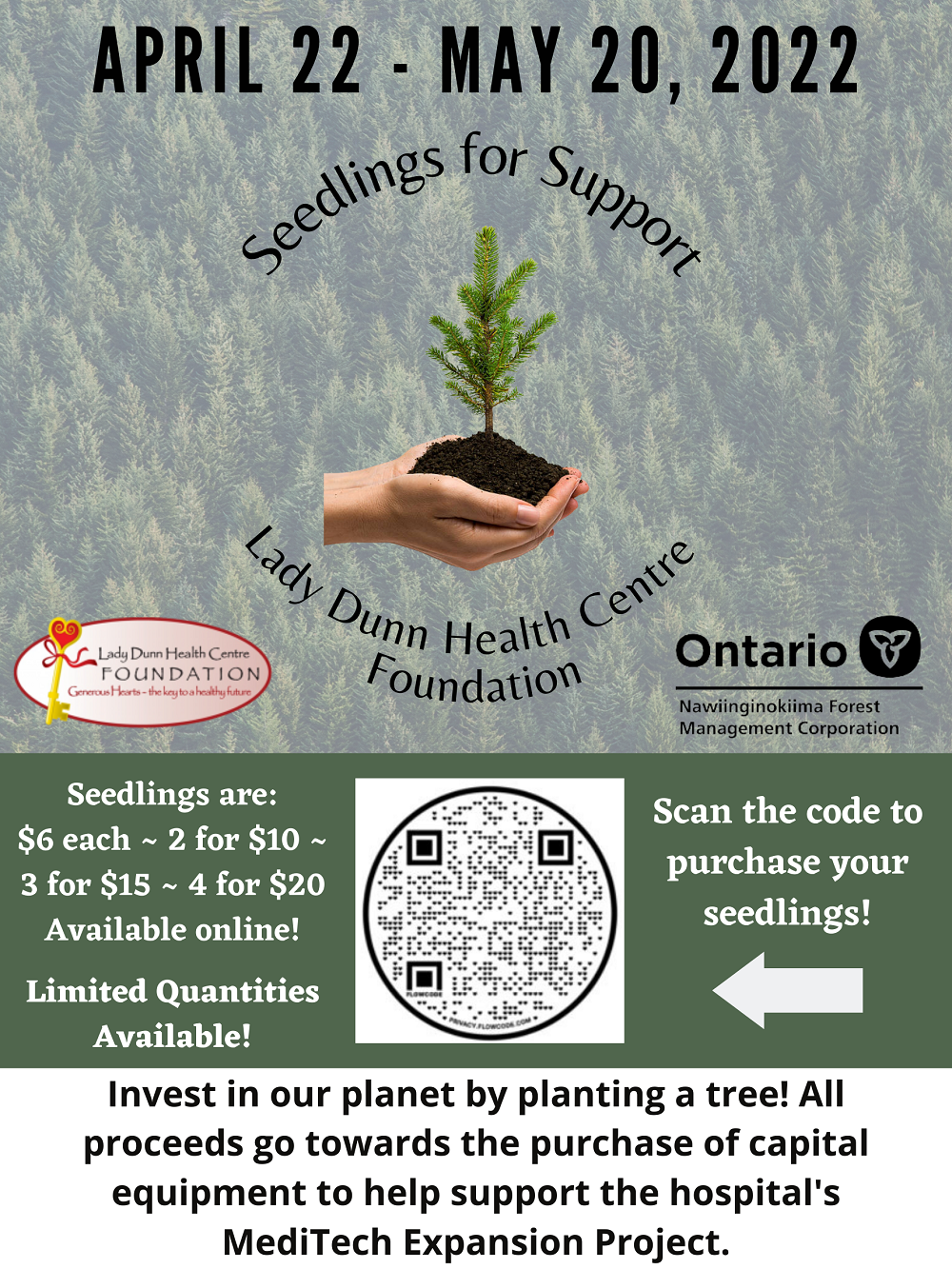 seedlings-for-support--22-