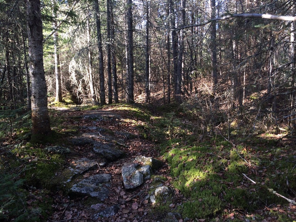 white-lake-trails